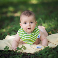 Organic Cotton Muslin Bandana XKKO Organic - Green Stripes