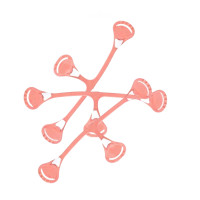 Snappi Original Diaper Fastener by XKKO - Peach (3pack)